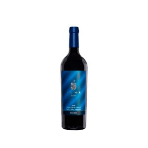 VINO PUNA 2600 MALBEC